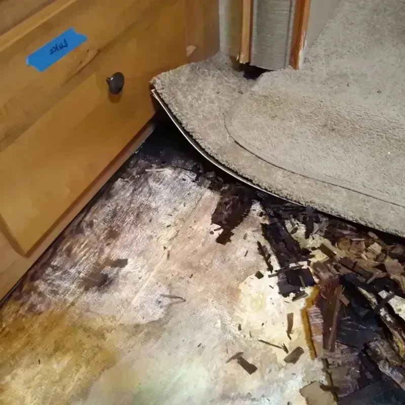 Best Wood Floor Water Damage Service in Ojus, FL